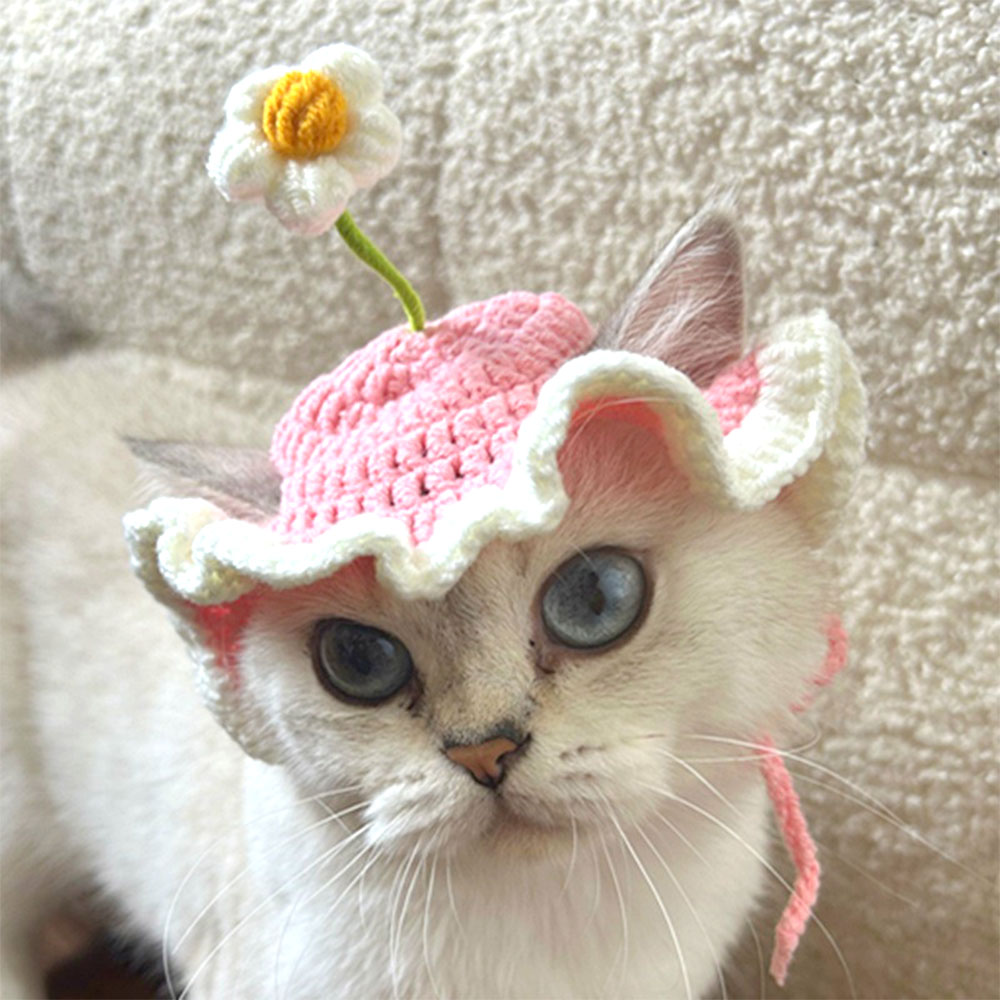 Gorros de Disfraces para Masco - Anime Cosplay Red reseña y precio